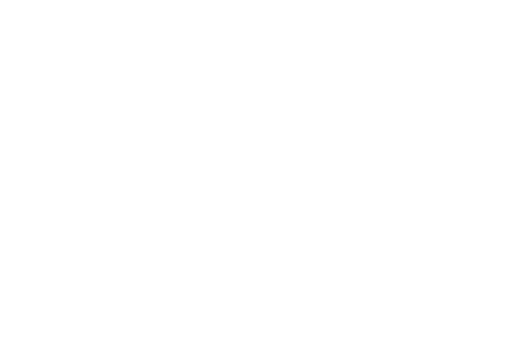 Domain Check in Österreich von Dropping.at